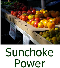 SunChoke Power Diabetes Free
